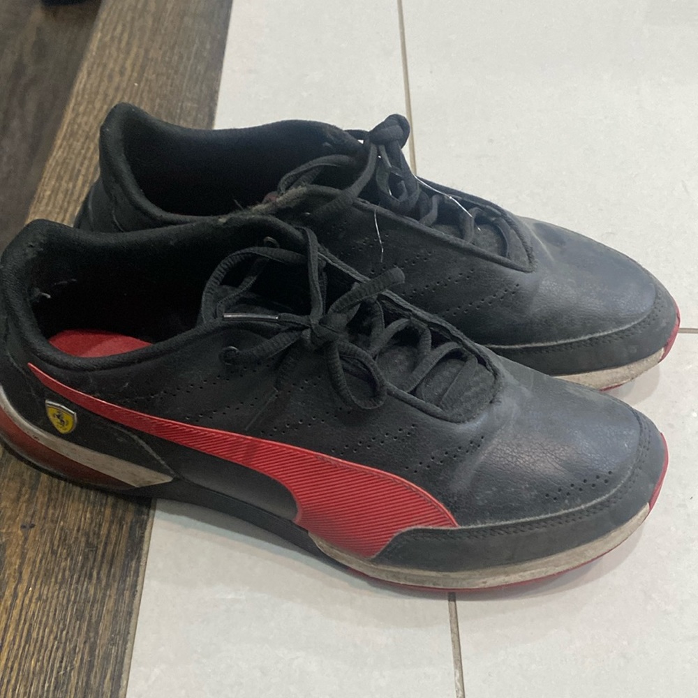 Puma Ferraris